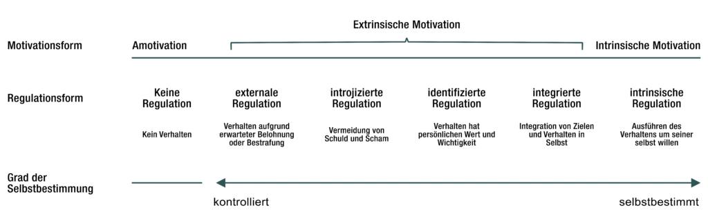 Diagramm des Kontinuums der Selbstbestimmungstheorie, das den fließenden Übergang von Amotivation über vier Stufen der extrinsischen Motivation hin zur intrinsischen Motivation sowie den parallel ansteigenden Grad der Selbstbestimmung darstellt.